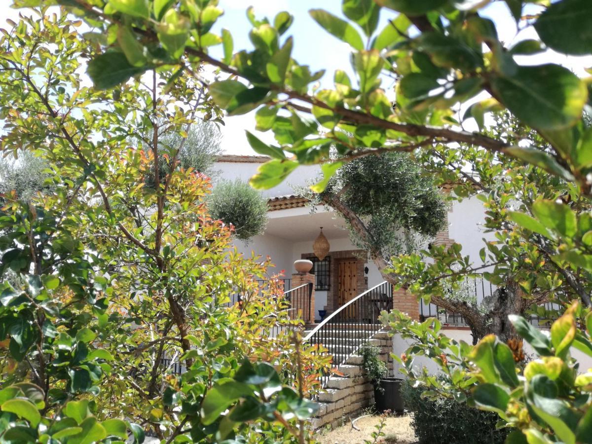 Vila Casa Rural La Amistad Burguillos de Toledo Exteriér fotografie