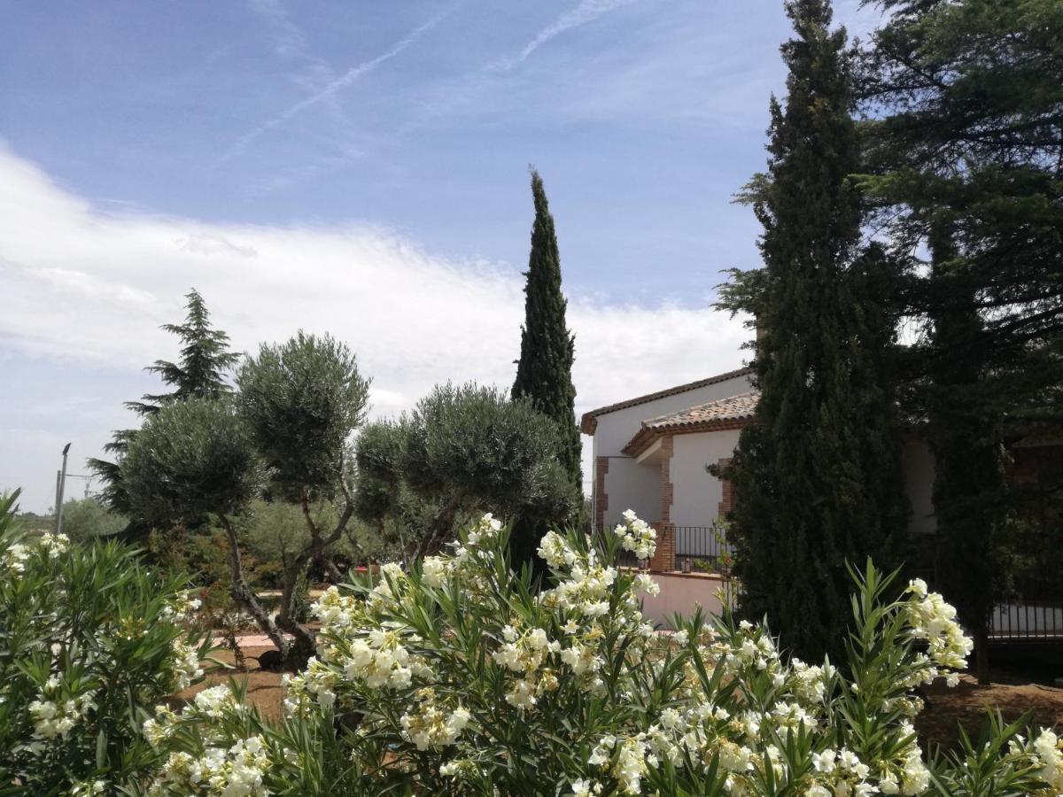 Vila Casa Rural La Amistad Burguillos de Toledo Exteriér fotografie