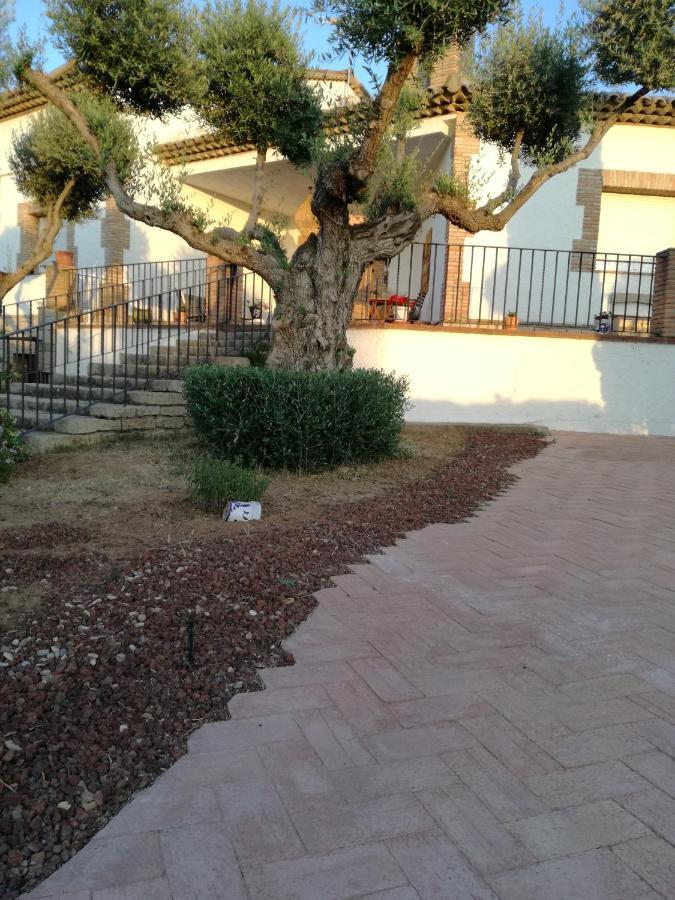 Vila Casa Rural La Amistad Burguillos de Toledo Exteriér fotografie