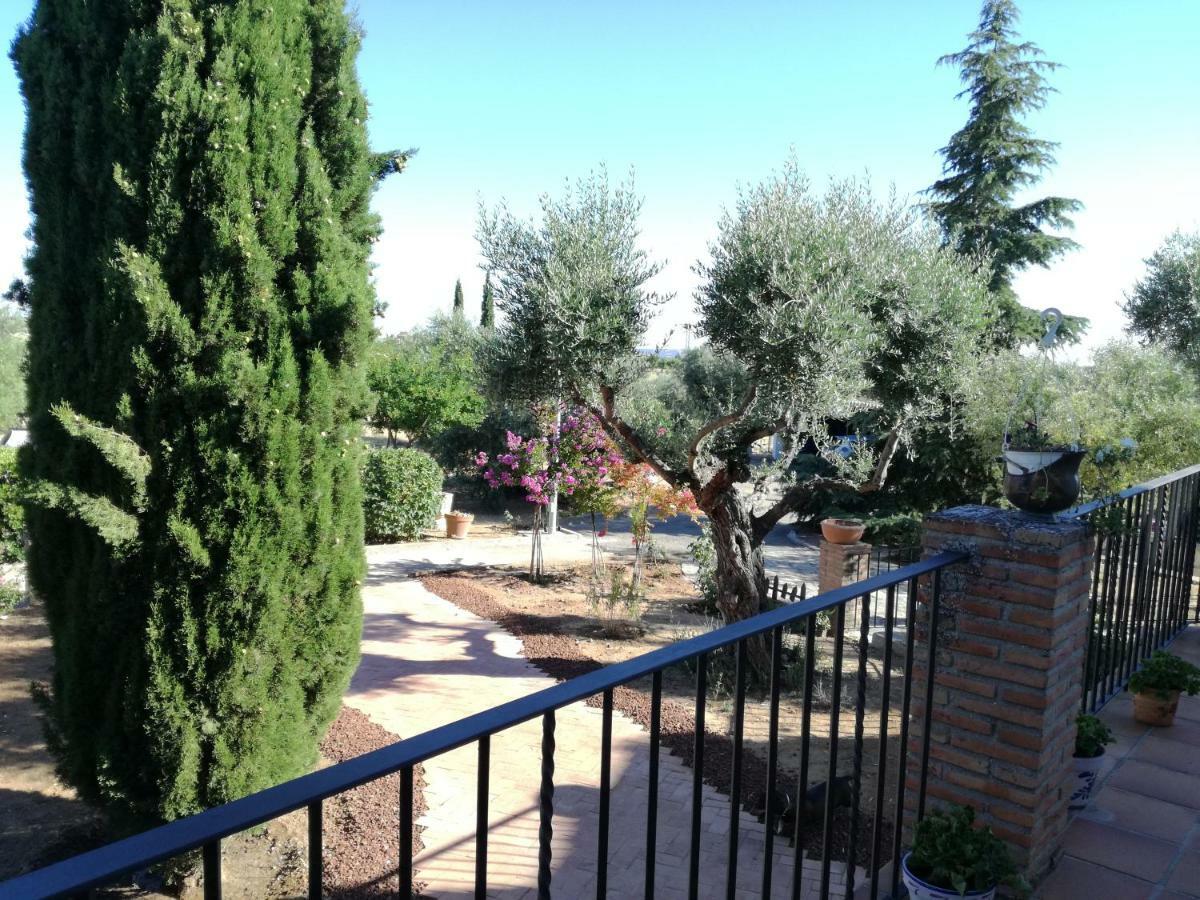 Vila Casa Rural La Amistad Burguillos de Toledo Exteriér fotografie